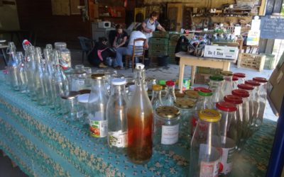 Atelier coulis de tomates à l’AMAP du Rouinet